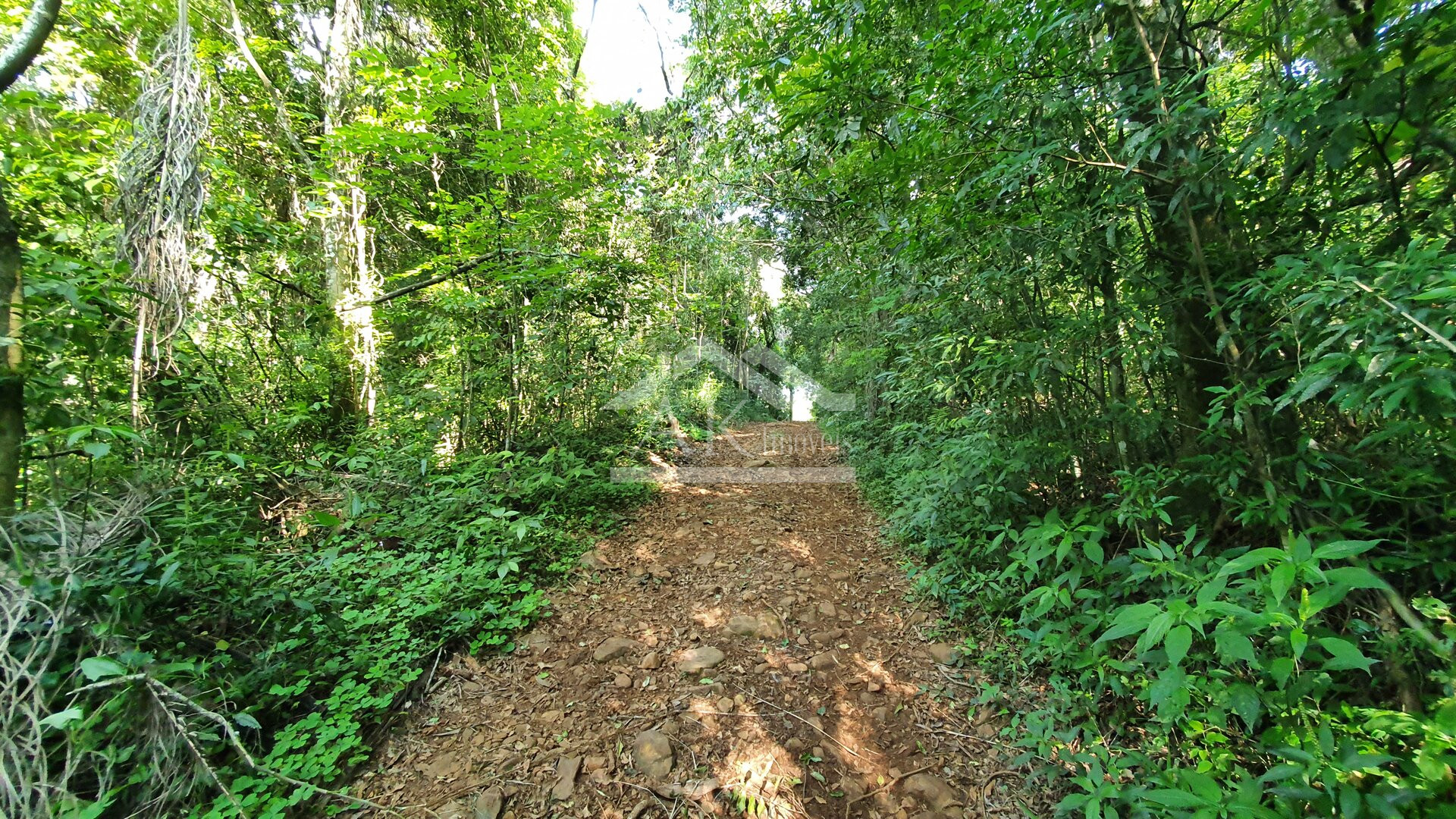 Área de terras plana à venda no interior de Linha Nova, na Serra Gaúcha