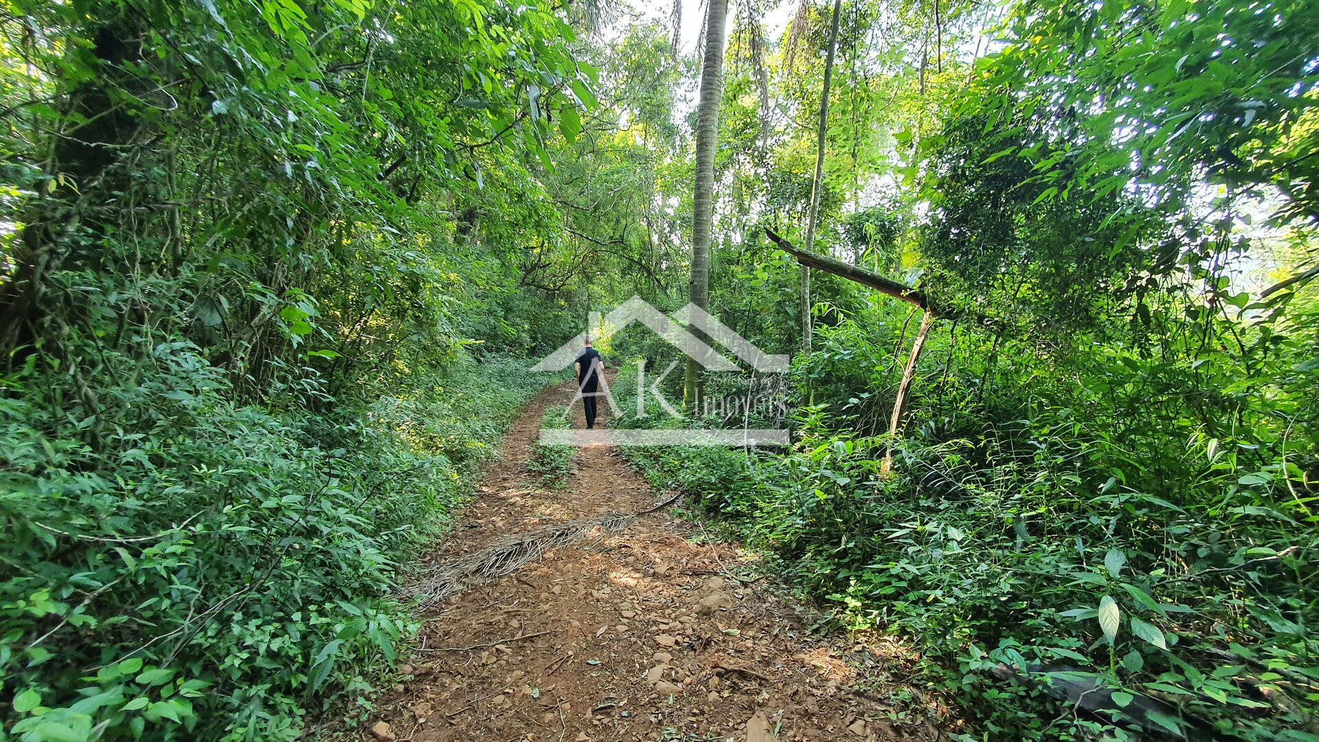 Área de terras plana à venda no interior de Linha Nova, na Serra Gaúcha