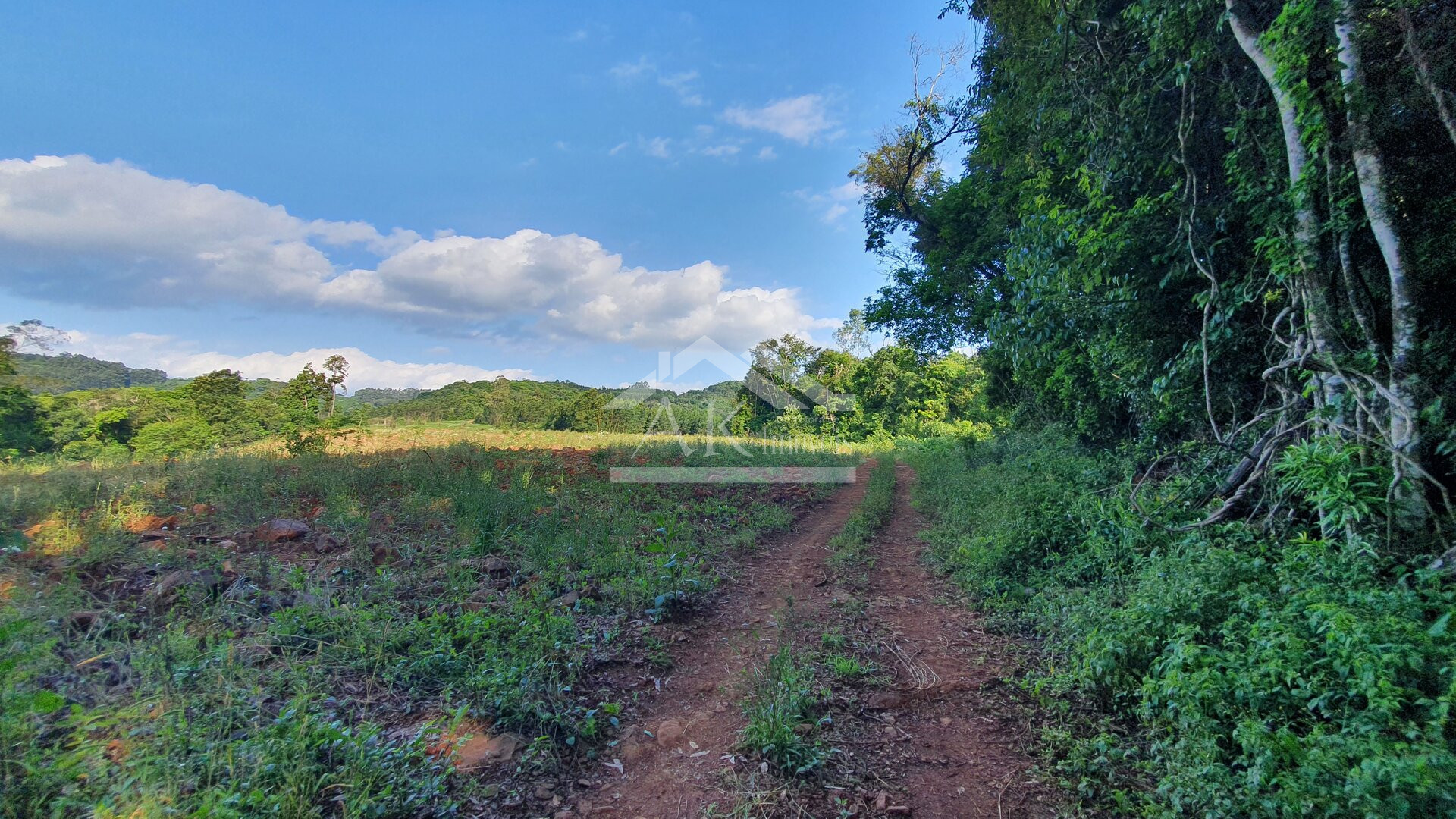 Área de terras plana à venda no interior de Linha Nova, na Serra Gaúcha
