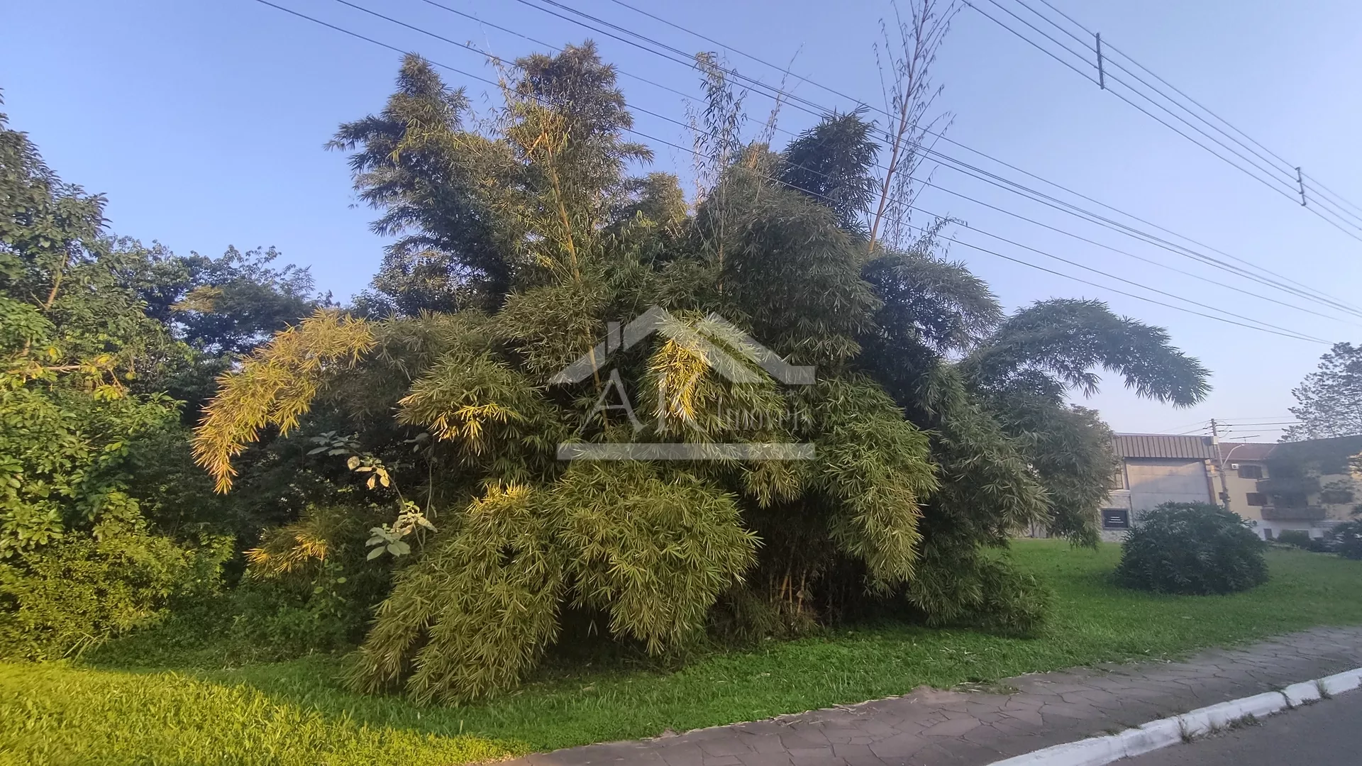 Amplo terreno à venda no centro de Picada Café, na Serra Gaúcha