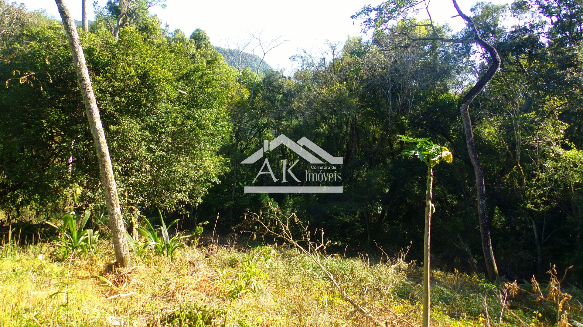 Sítio com duas casas e galpões a venda em Picada Café na Serra Gaúcha