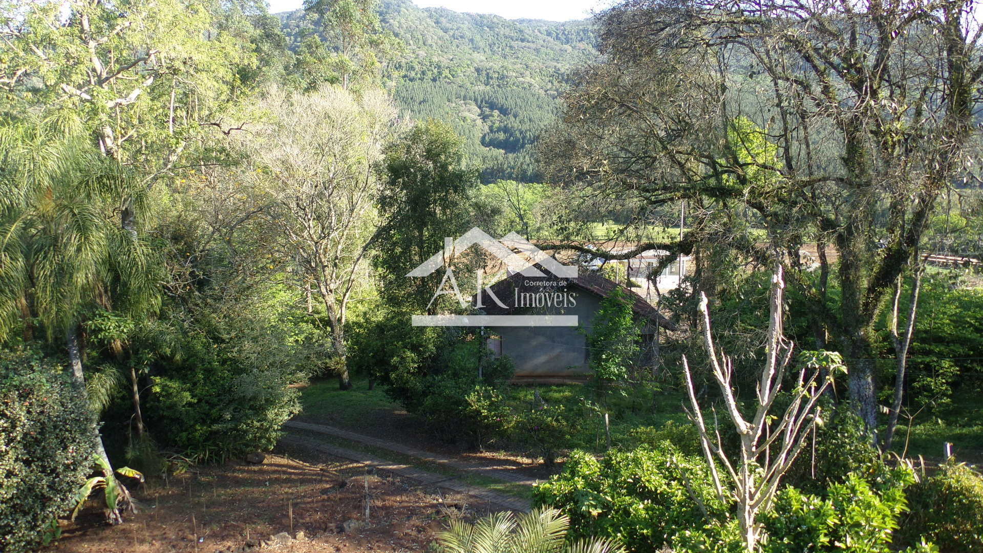 Sítio com duas casas e galpões a venda em Picada Café na Serra Gaúcha