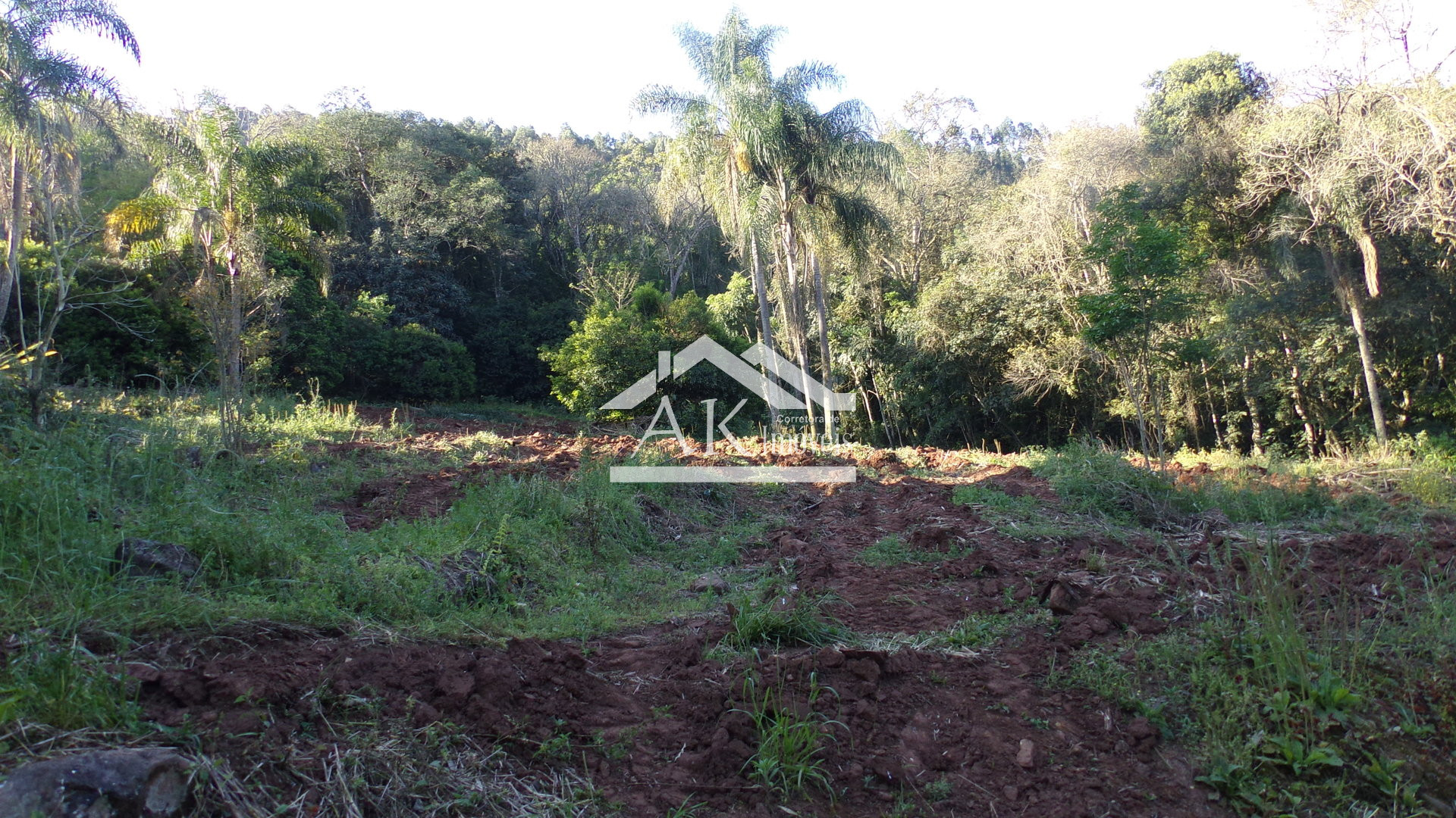 Sítio com duas casas e galpões a venda em Picada Café na Serra Gaúcha