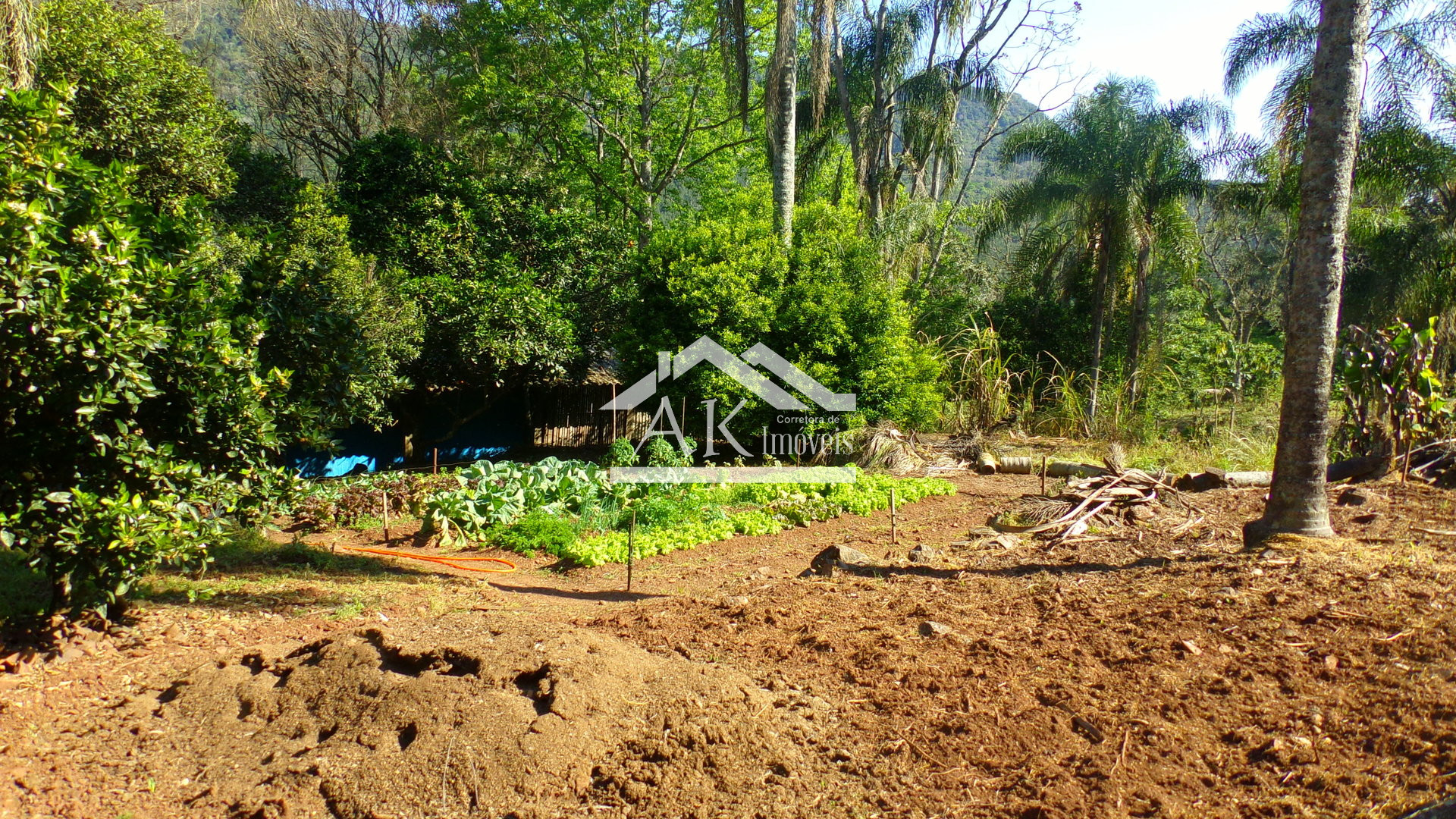 Sítio com duas casas e galpões a venda em Picada Café na Serra Gaúcha