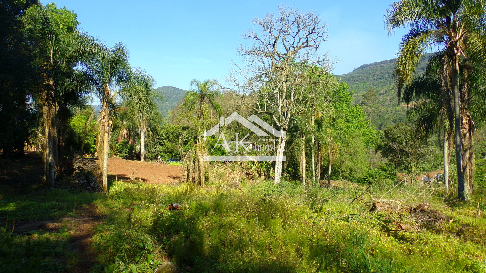 Sítio com duas casas e galpões a venda em Picada Café na Serra Gaúcha
