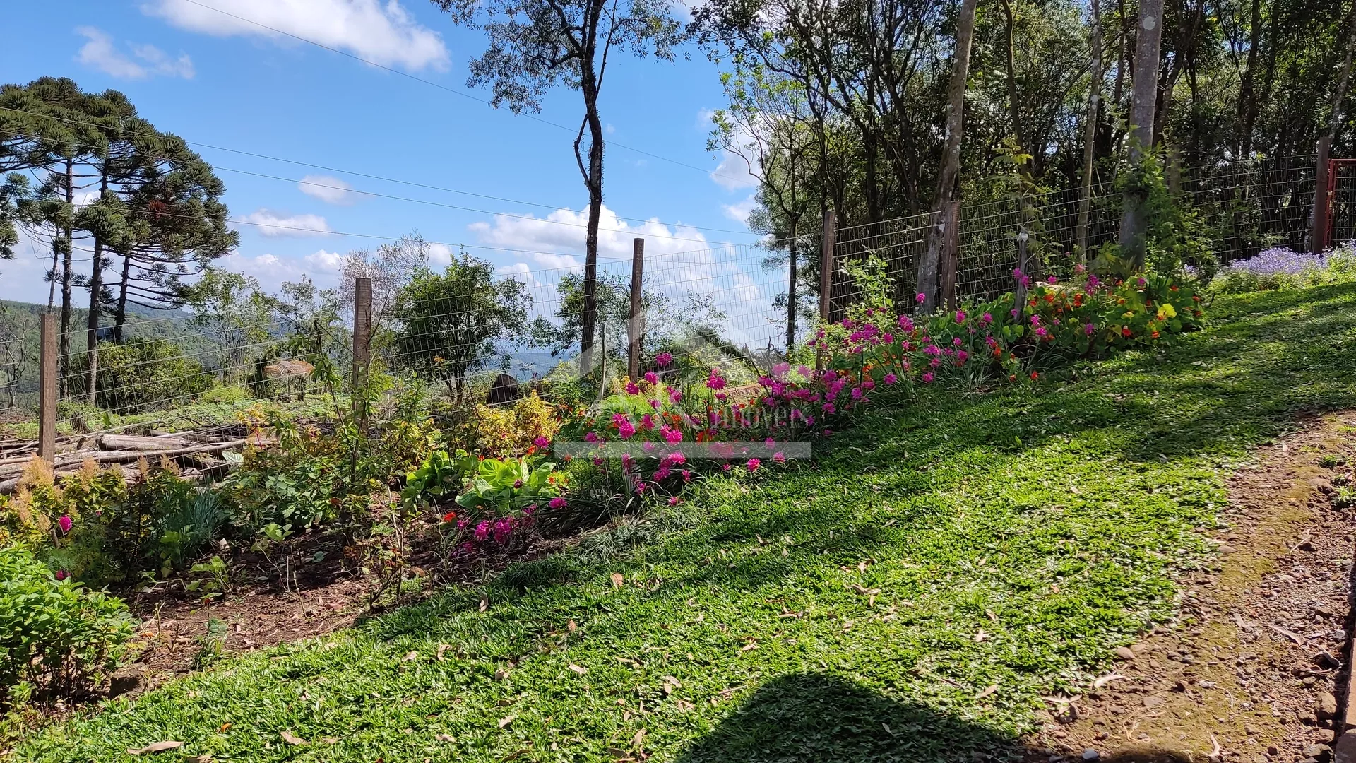 Chácara com açude à venda em Nova Petrópolis na Serra Gaúcha