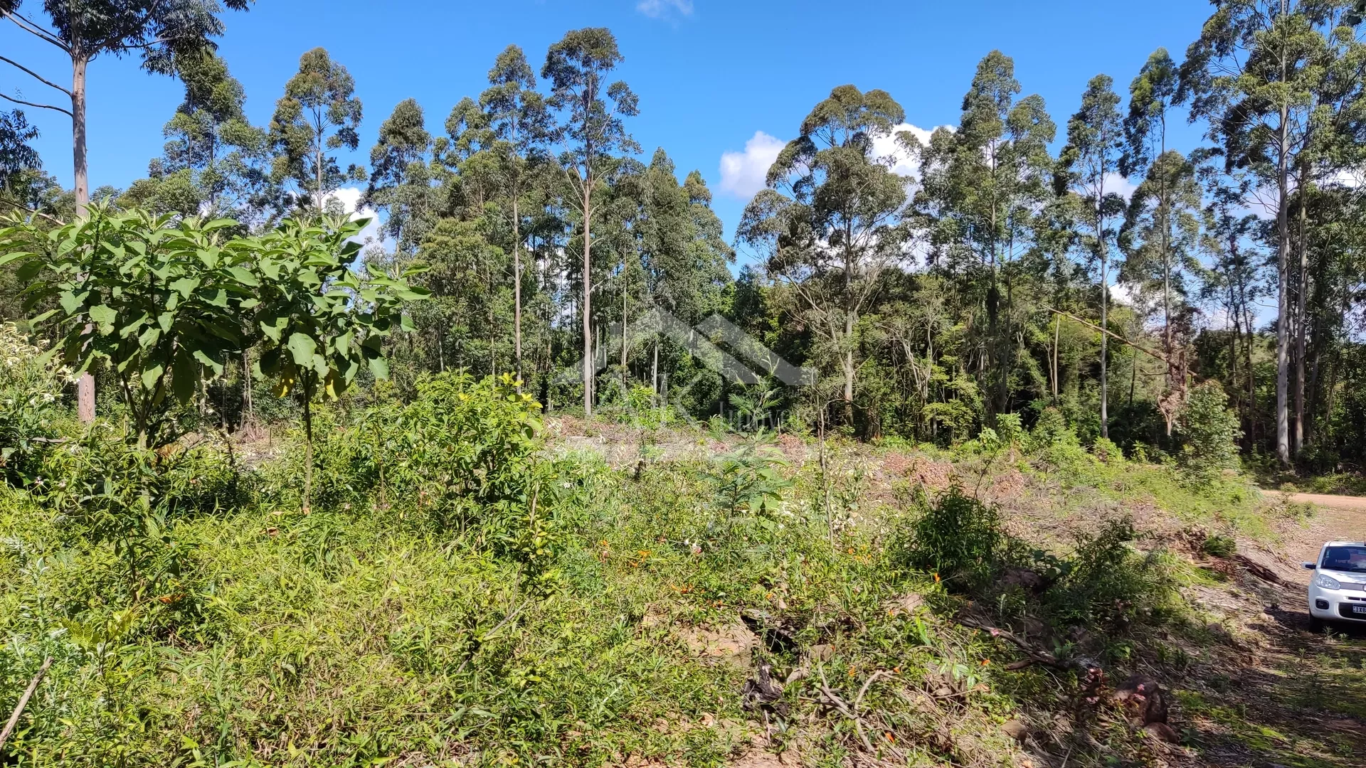 Chácara com açude à venda em Nova Petrópolis na Serra Gaúcha