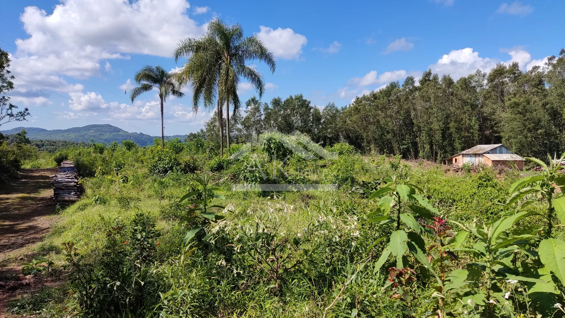 Chácara com açude à venda em Nova Petrópolis na Serra Gaúcha