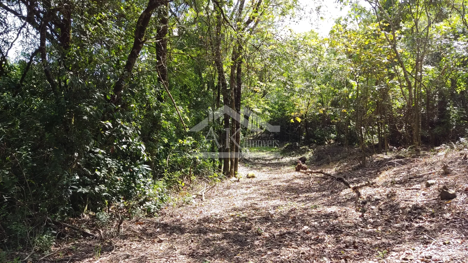 Chácara com açude à venda em Nova Petrópolis na Serra Gaúcha