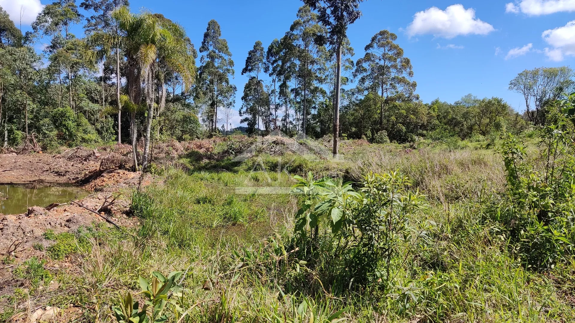 Chácara com açude à venda em Nova Petrópolis na Serra Gaúcha