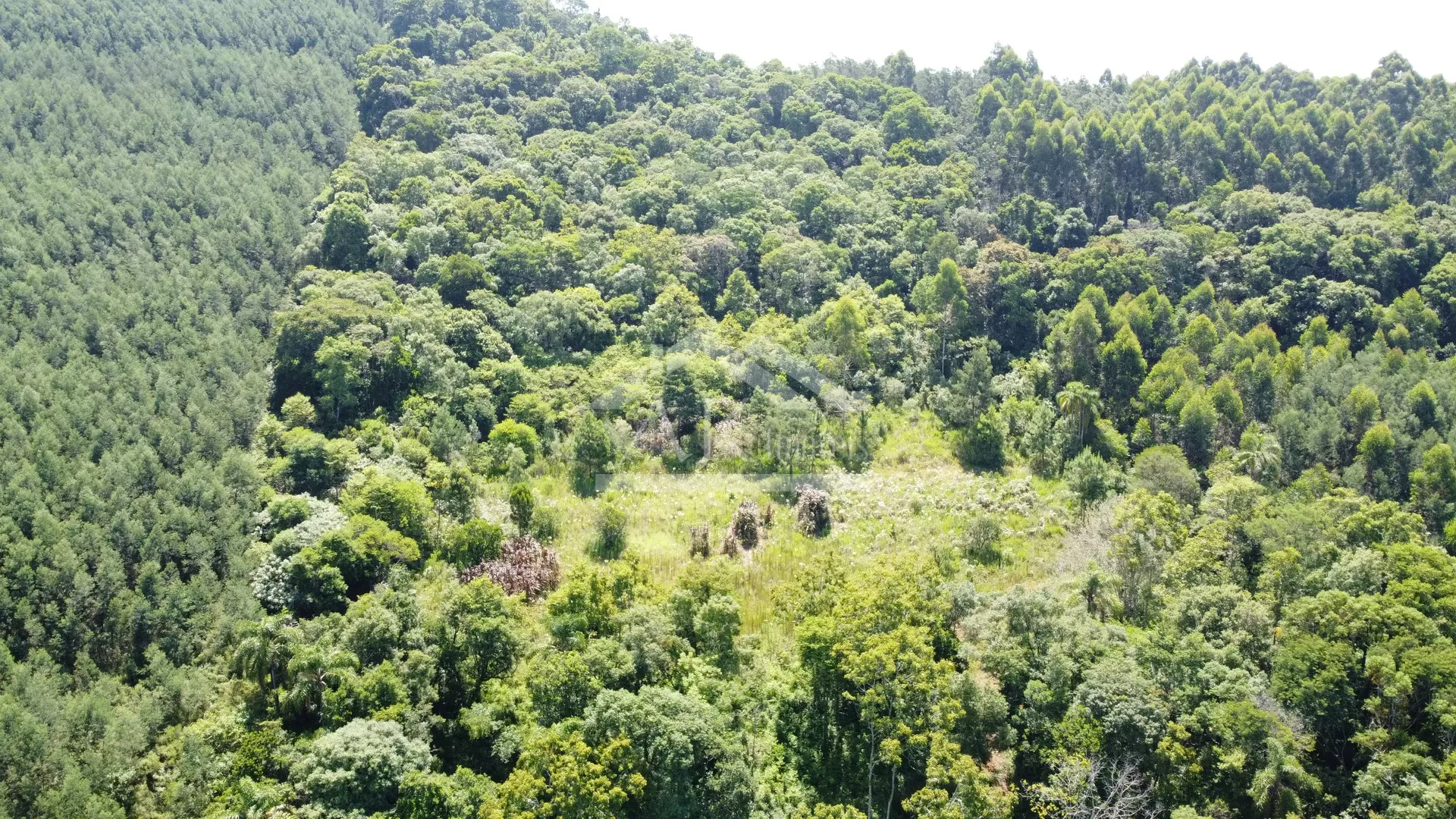 Sítio com cabana à venda em Picada Café na Serra Gaúcha
