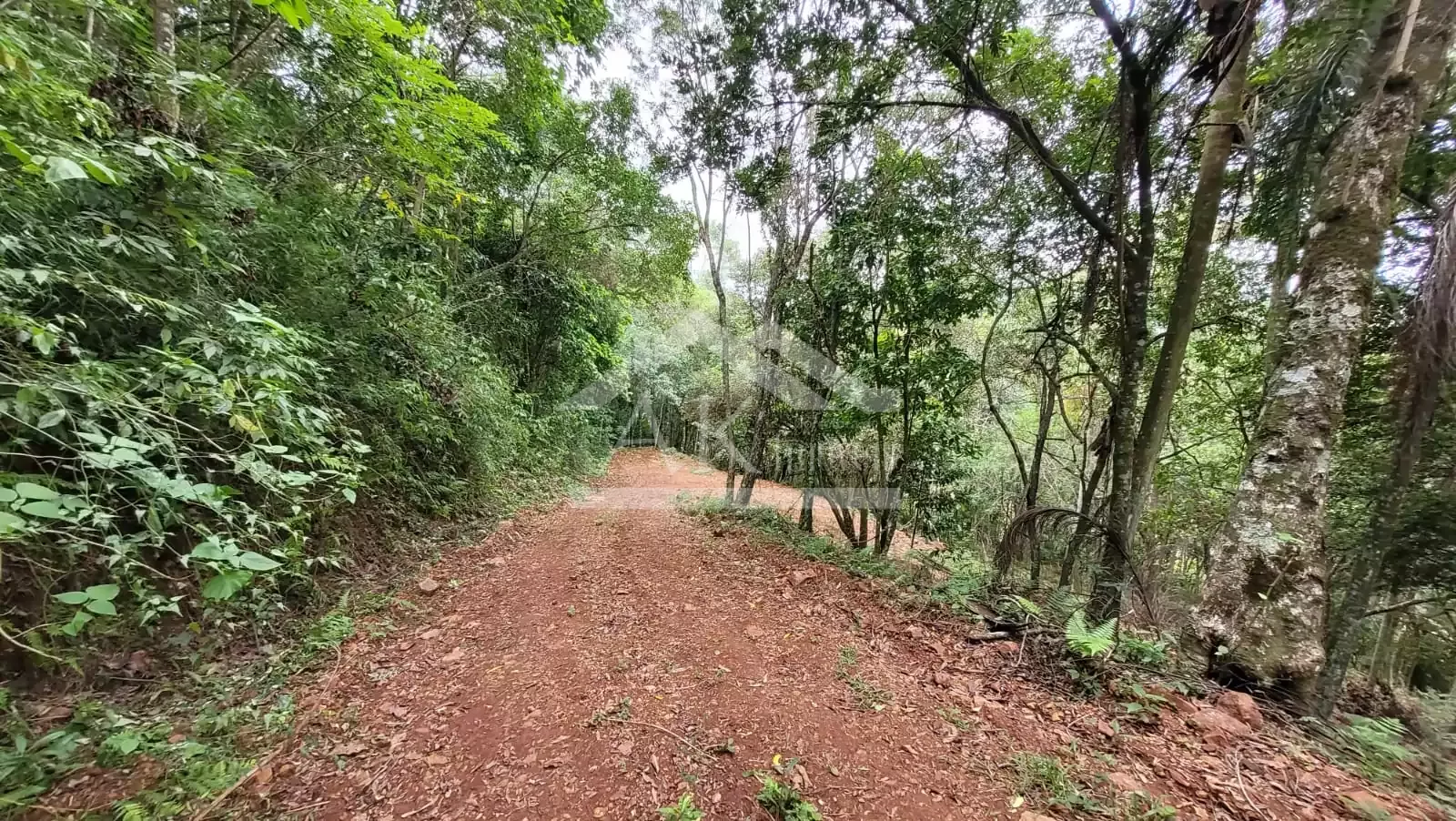 Sítio com cabana à venda em Picada Café na Serra Gaúcha