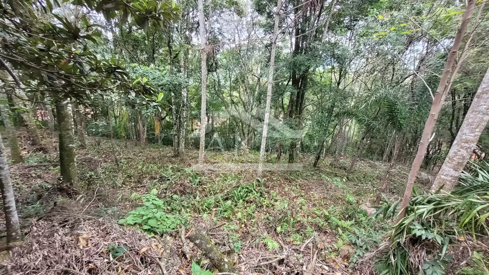Sítio com cabana à venda em Picada Café na Serra Gaúcha