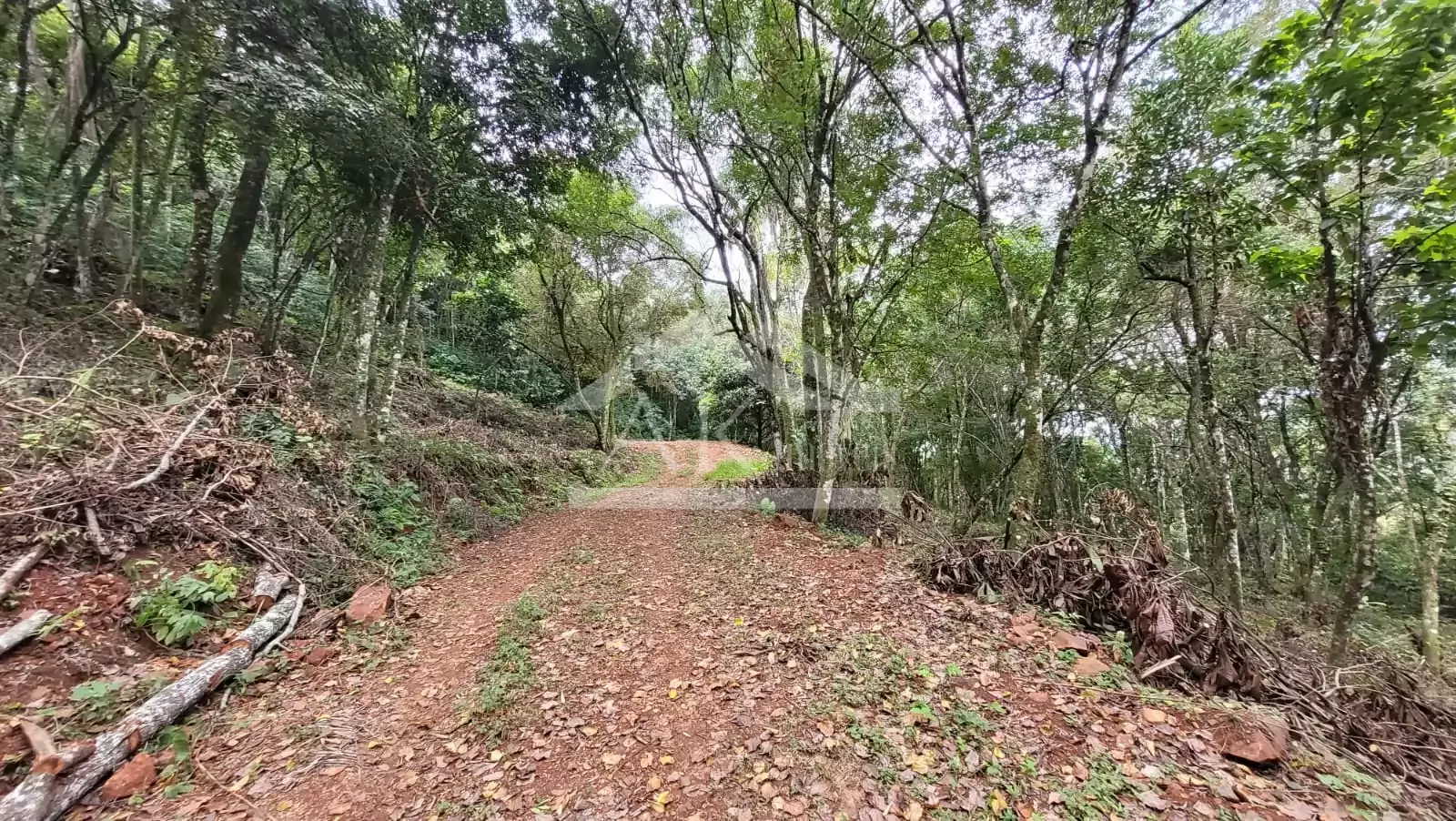 Sítio com cabana à venda em Picada Café na Serra Gaúcha
