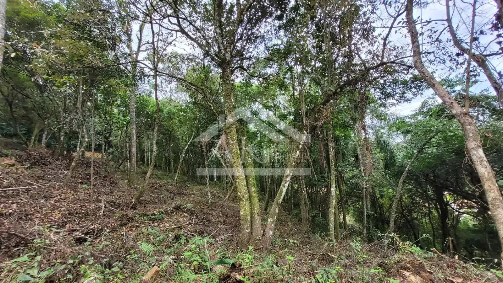 Sítio com cabana à venda em Picada Café na Serra Gaúcha