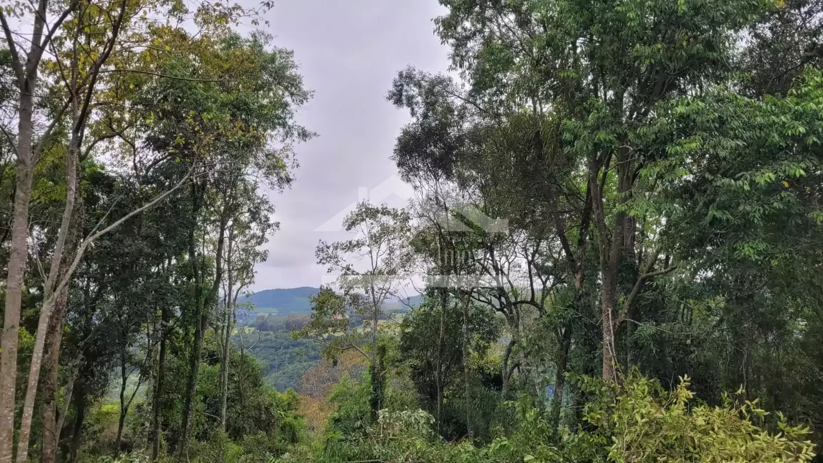 Sítio com cabana à venda em Picada Café na Serra Gaúcha