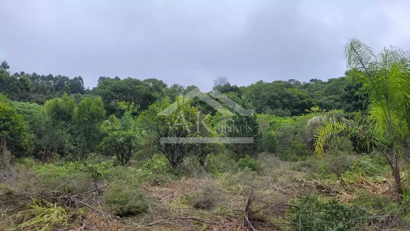 Sítio com cabana à venda em Picada Café na Serra Gaúcha