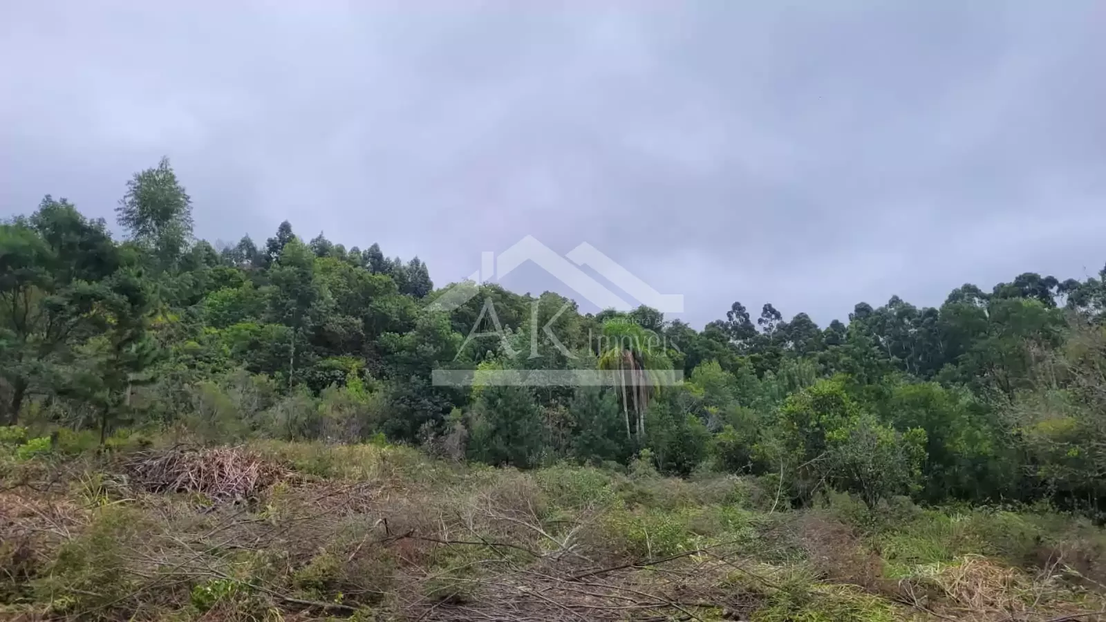 Sítio com cabana à venda em Picada Café na Serra Gaúcha