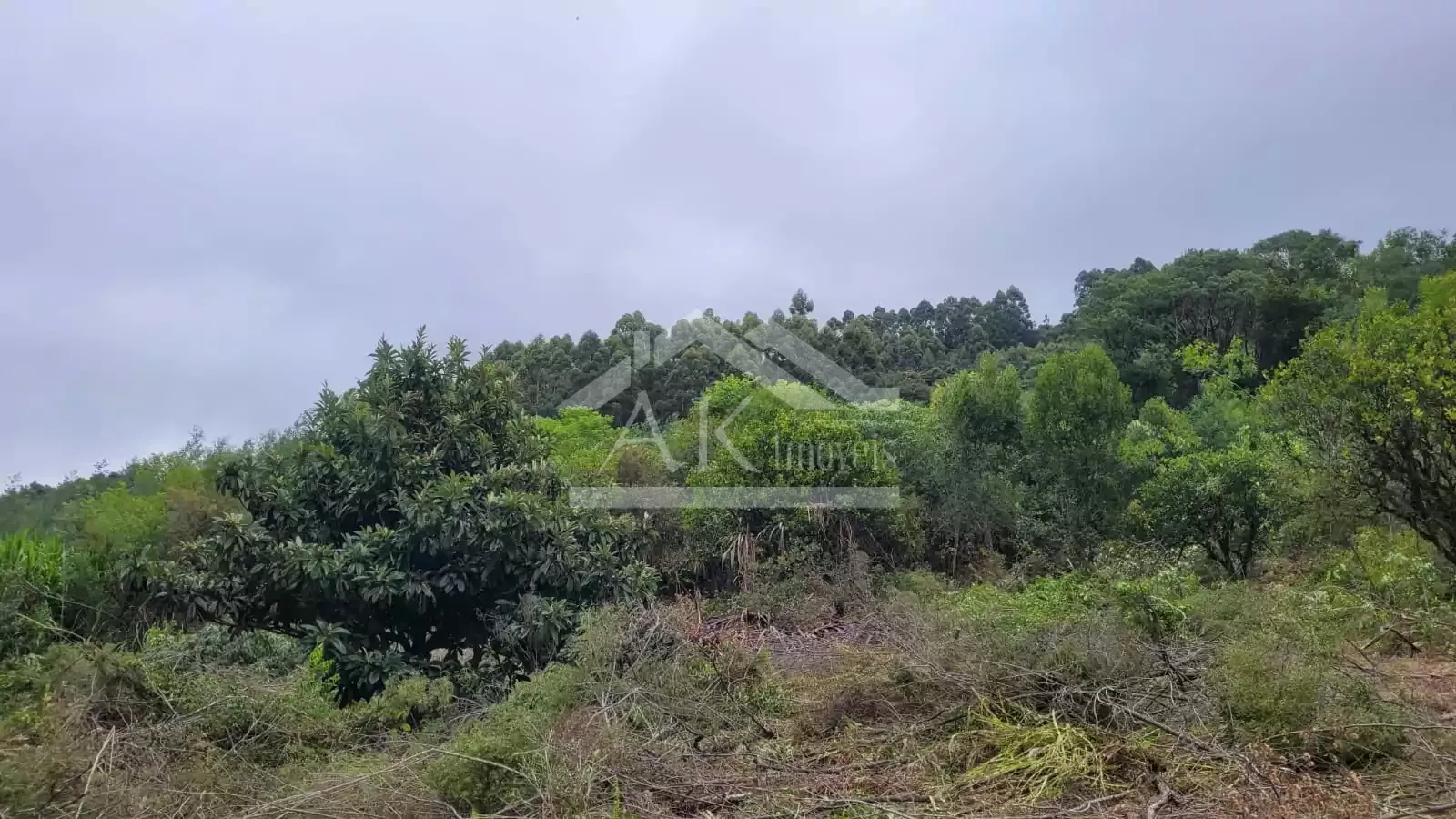 Sítio com cabana à venda em Picada Café na Serra Gaúcha