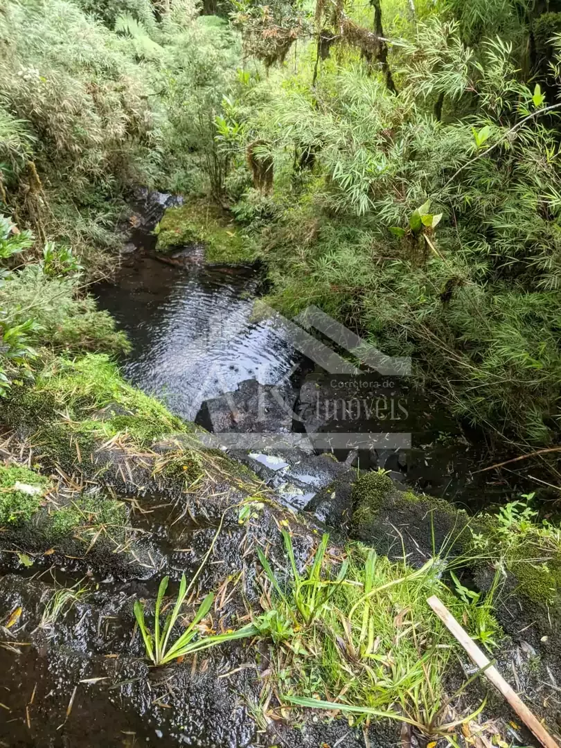 Fazenda com vista cinematográfica à venda em Cambará do Sul -RS