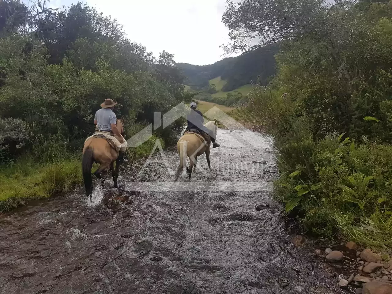 Fazenda com vista cinematográfica à venda em Cambará do Sul -RS
