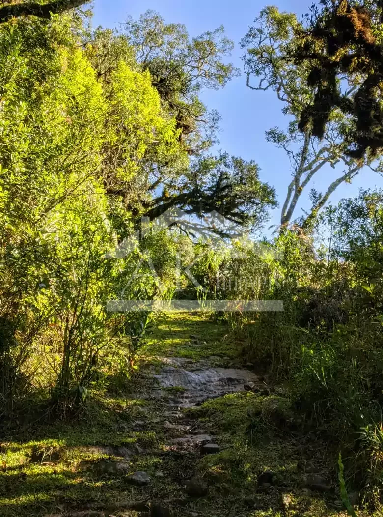 Fazenda com vista cinematográfica à venda em Cambará do Sul -RS