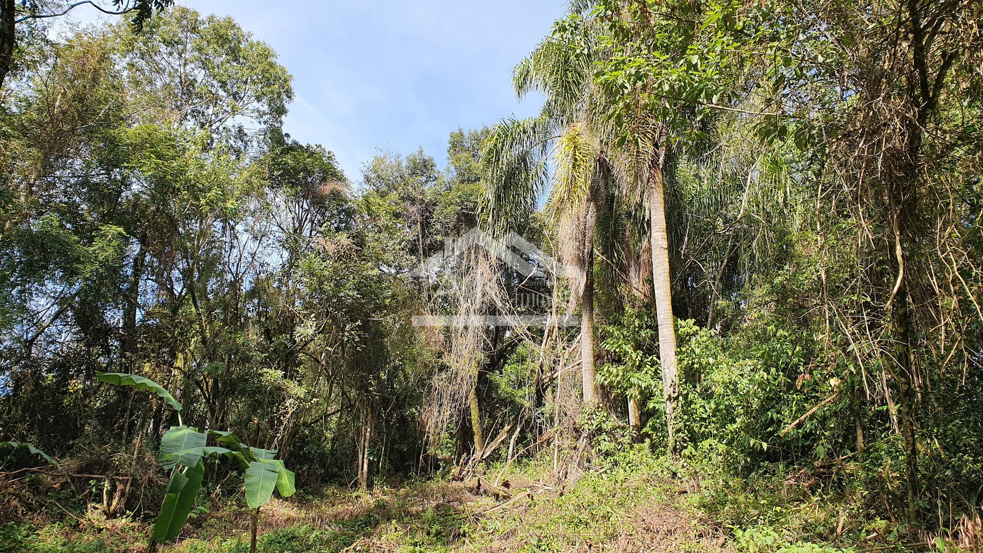 Belo terreno com vertente à venda na cidade de Morro Reuter-RS