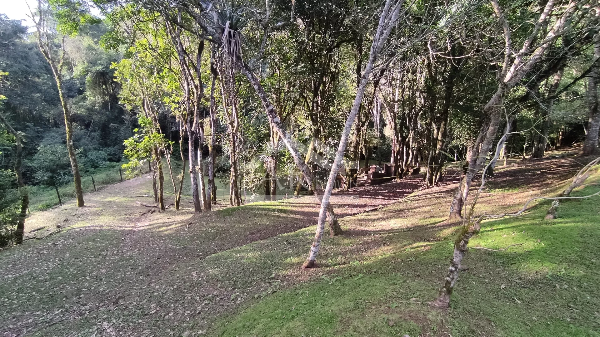 Sítio rico em água à venda em Lomba Grande, Novo Hamburgo RS