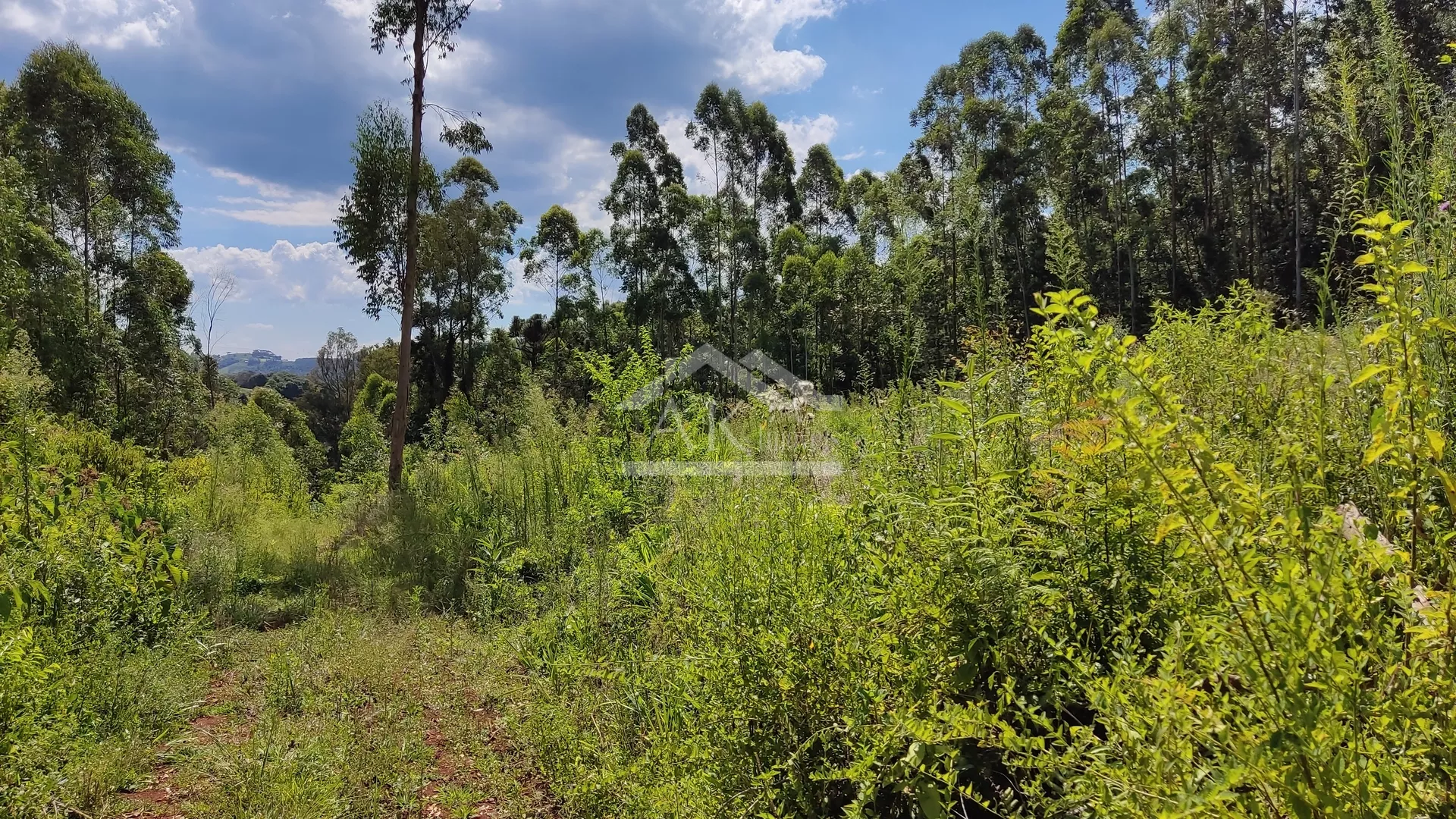 Sítio com riacho e casa enxaimel à venda em Nova Petrópolis na Serra Gaúcha