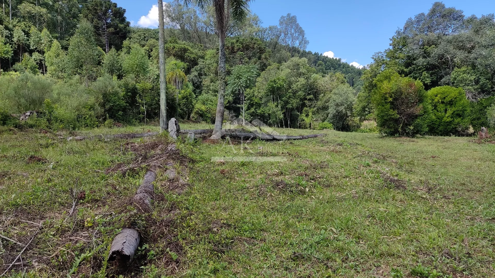 Sítio com riacho e casa enxaimel à venda em Nova Petrópolis na Serra Gaúcha