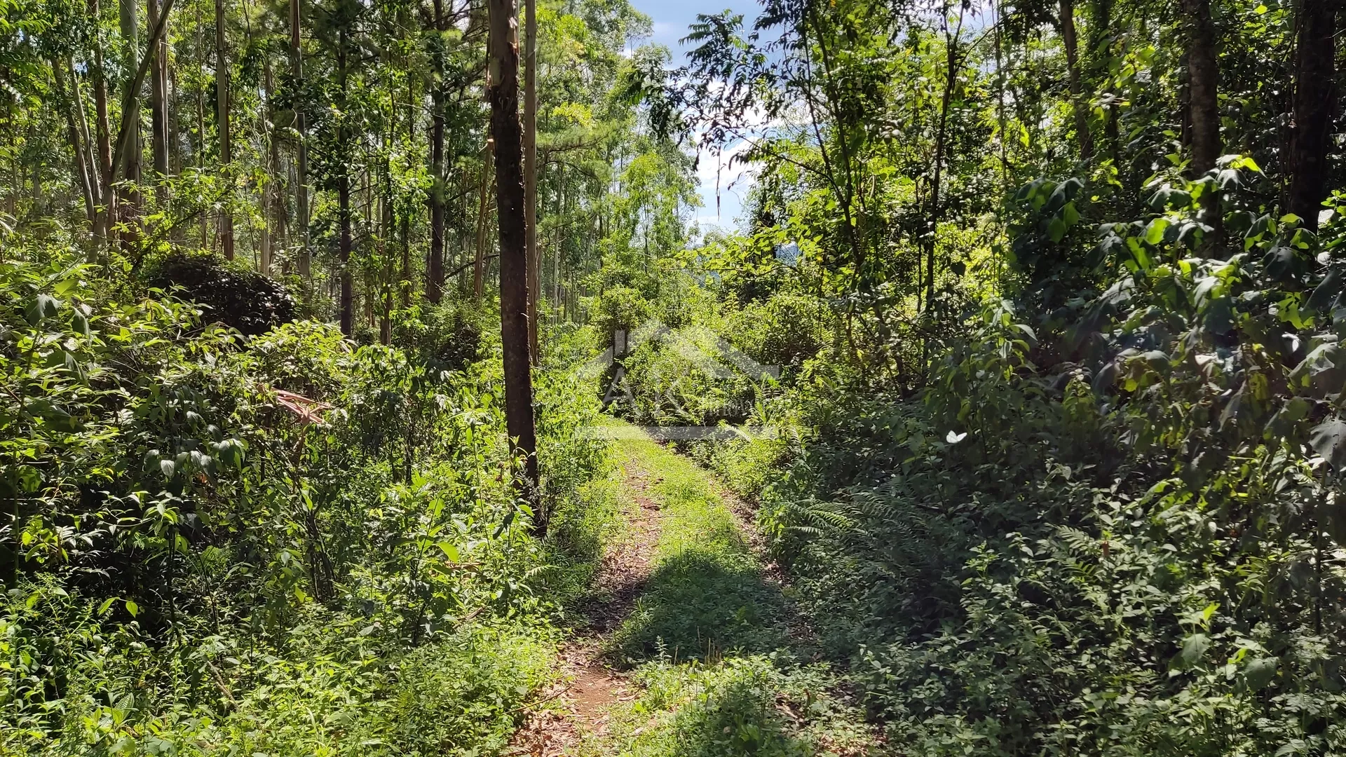 Sítio com riacho e casa enxaimel à venda em Nova Petrópolis na Serra Gaúcha