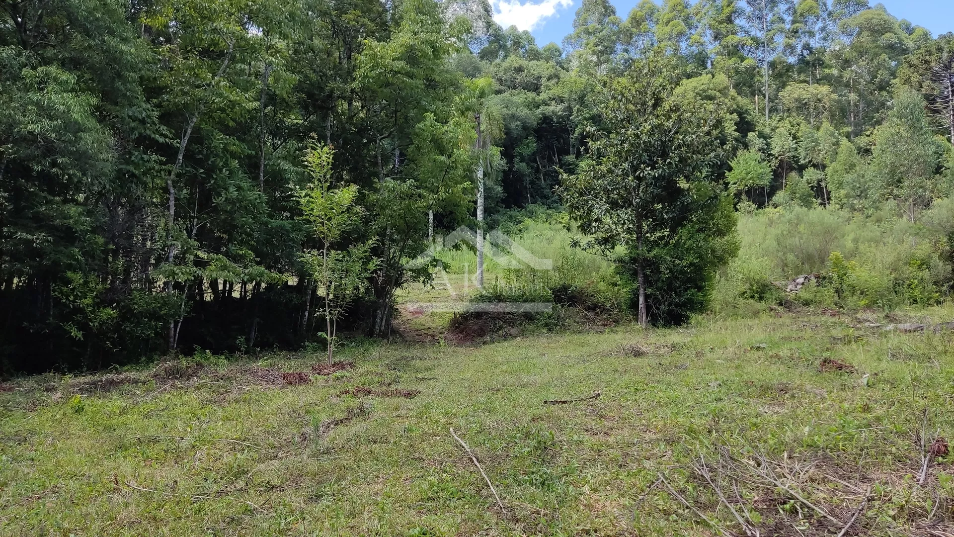 Sítio com riacho e casa enxaimel à venda em Nova Petrópolis na Serra Gaúcha
