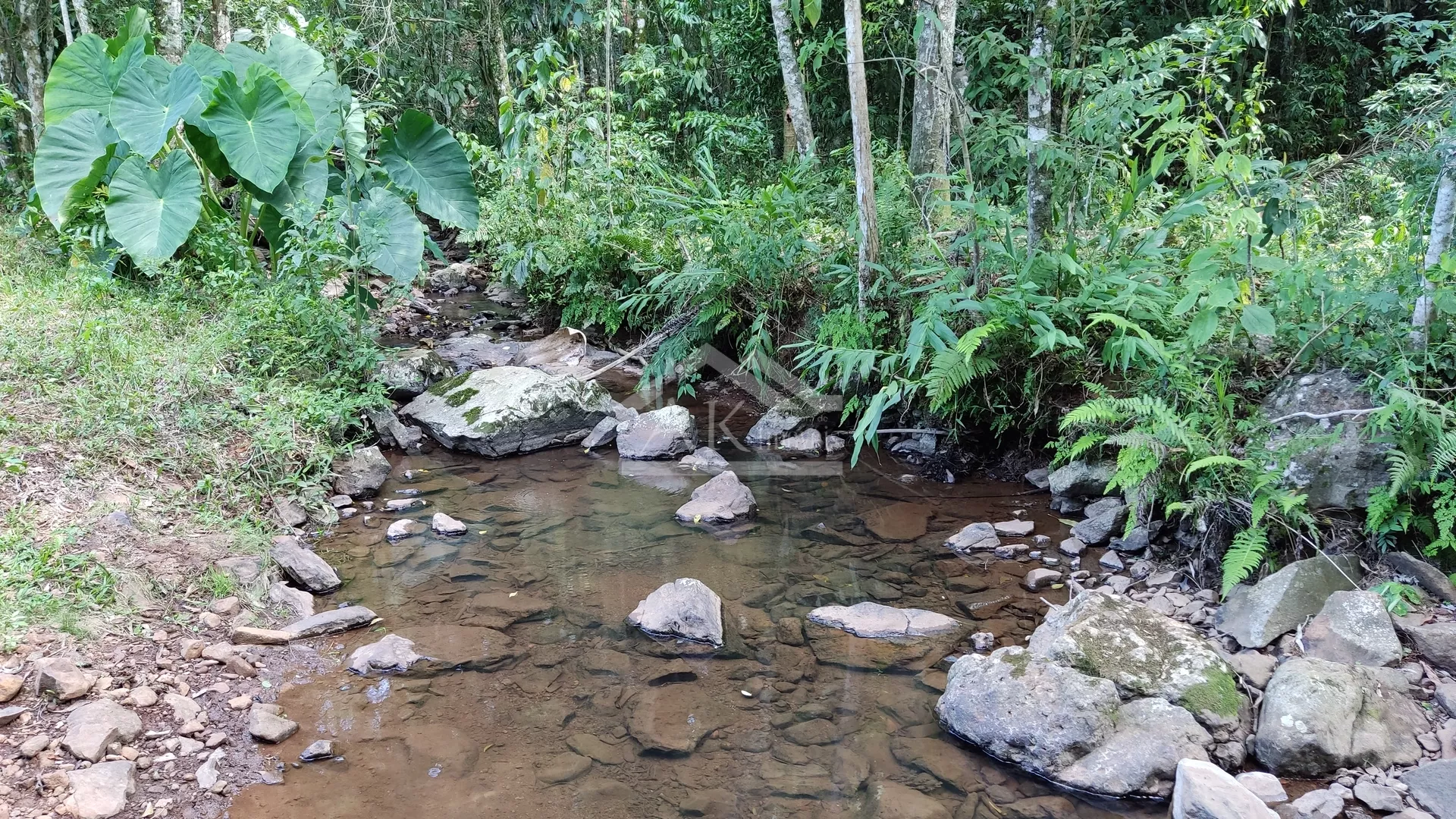 Sítio com riacho e casa enxaimel à venda em Nova Petrópolis na Serra Gaúcha