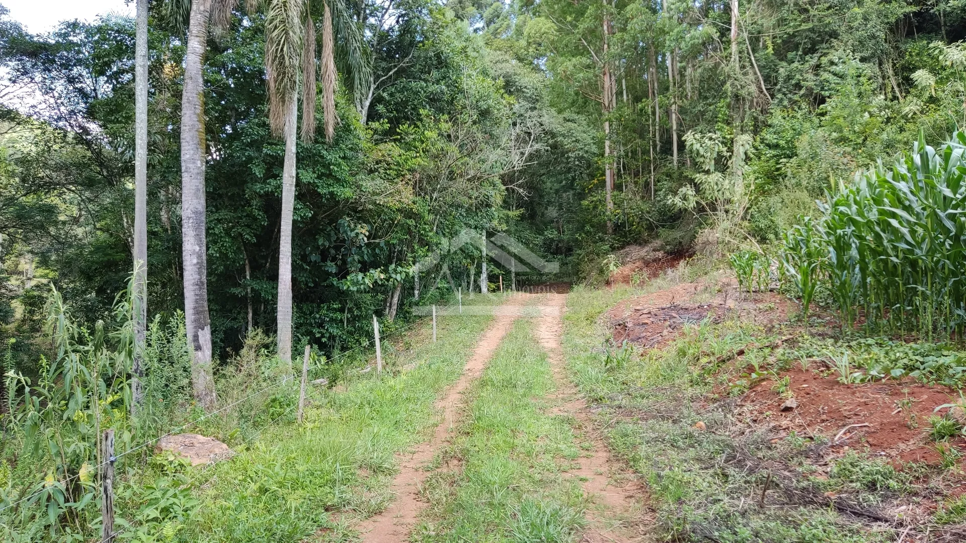 Sítio com riacho e casa enxaimel à venda em Nova Petrópolis na Serra Gaúcha