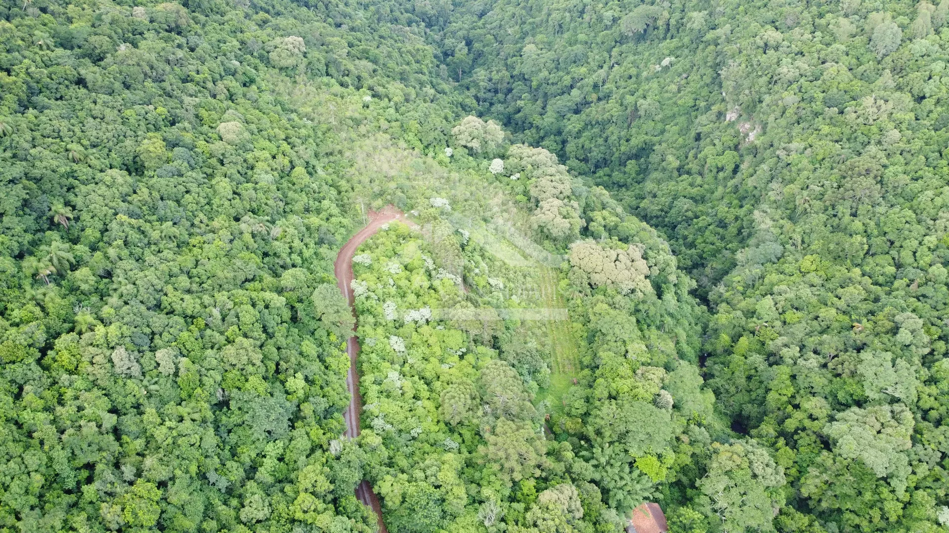 Sítio com cascata a venda no interior de Nova Petrópolis, na Serra Gaúcha