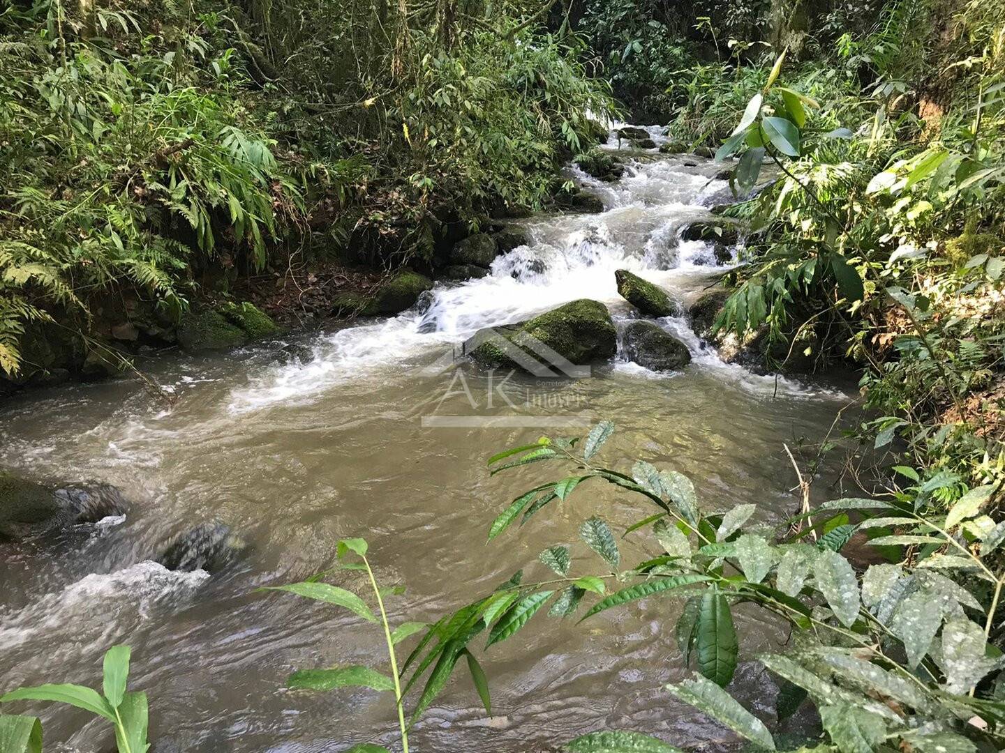 Sítio com cascata a venda no interior de Nova Petrópolis, na Serra Gaúcha