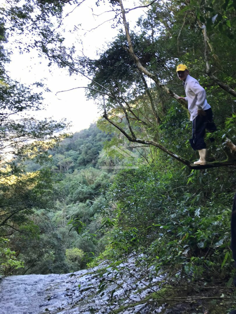 Sítio com cascata a venda no interior de Nova Petrópolis, na Serra Gaúcha