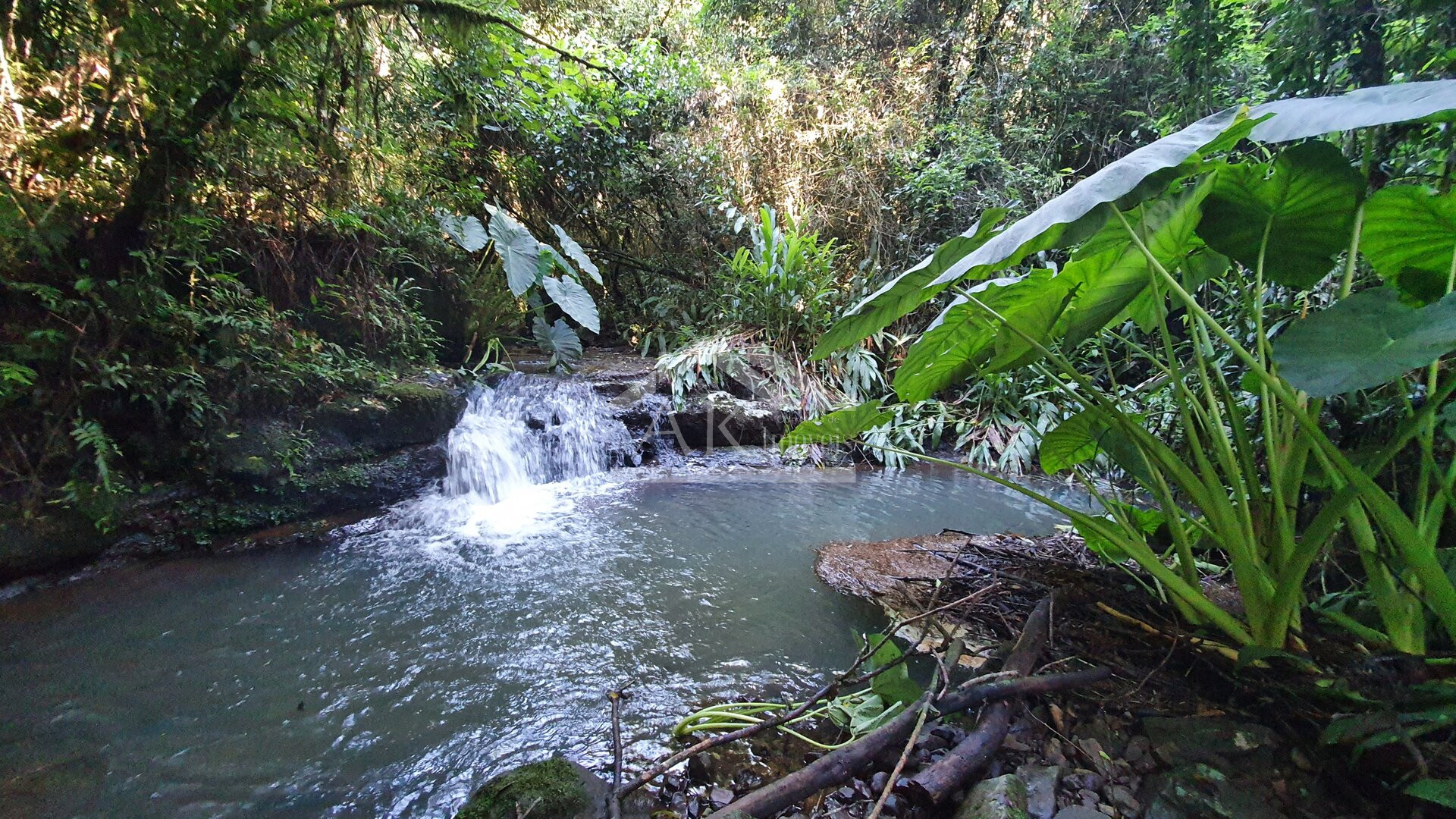 Sítio com cascata a venda no interior de Nova Petrópolis, na Serra Gaúcha