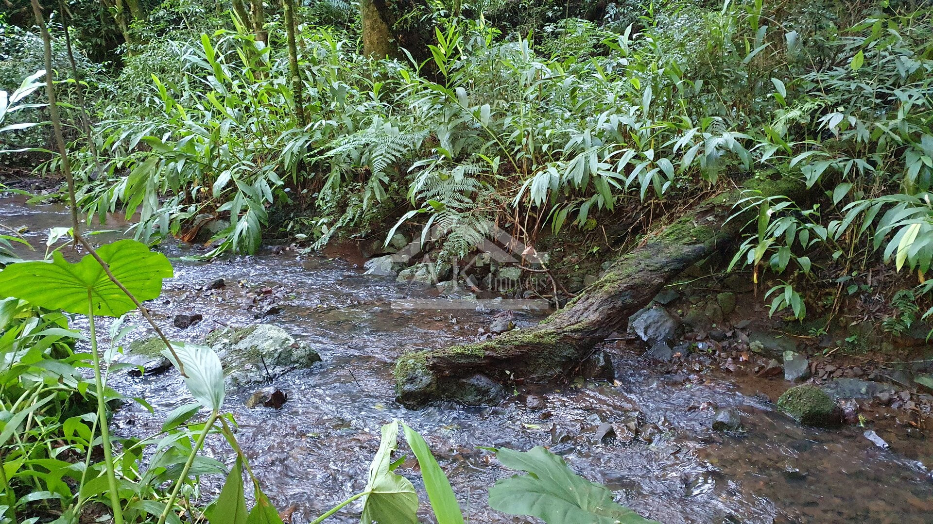 Sítio com cascata a venda no interior de Nova Petrópolis, na Serra Gaúcha