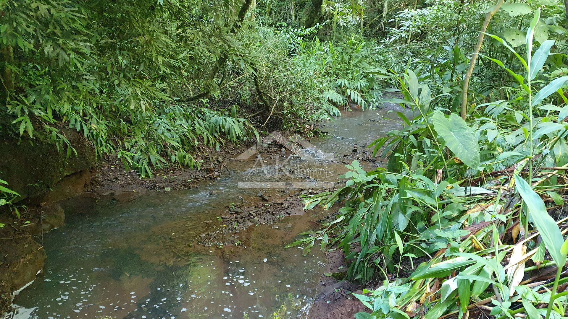 Sítio com cascata a venda no interior de Nova Petrópolis, na Serra Gaúcha