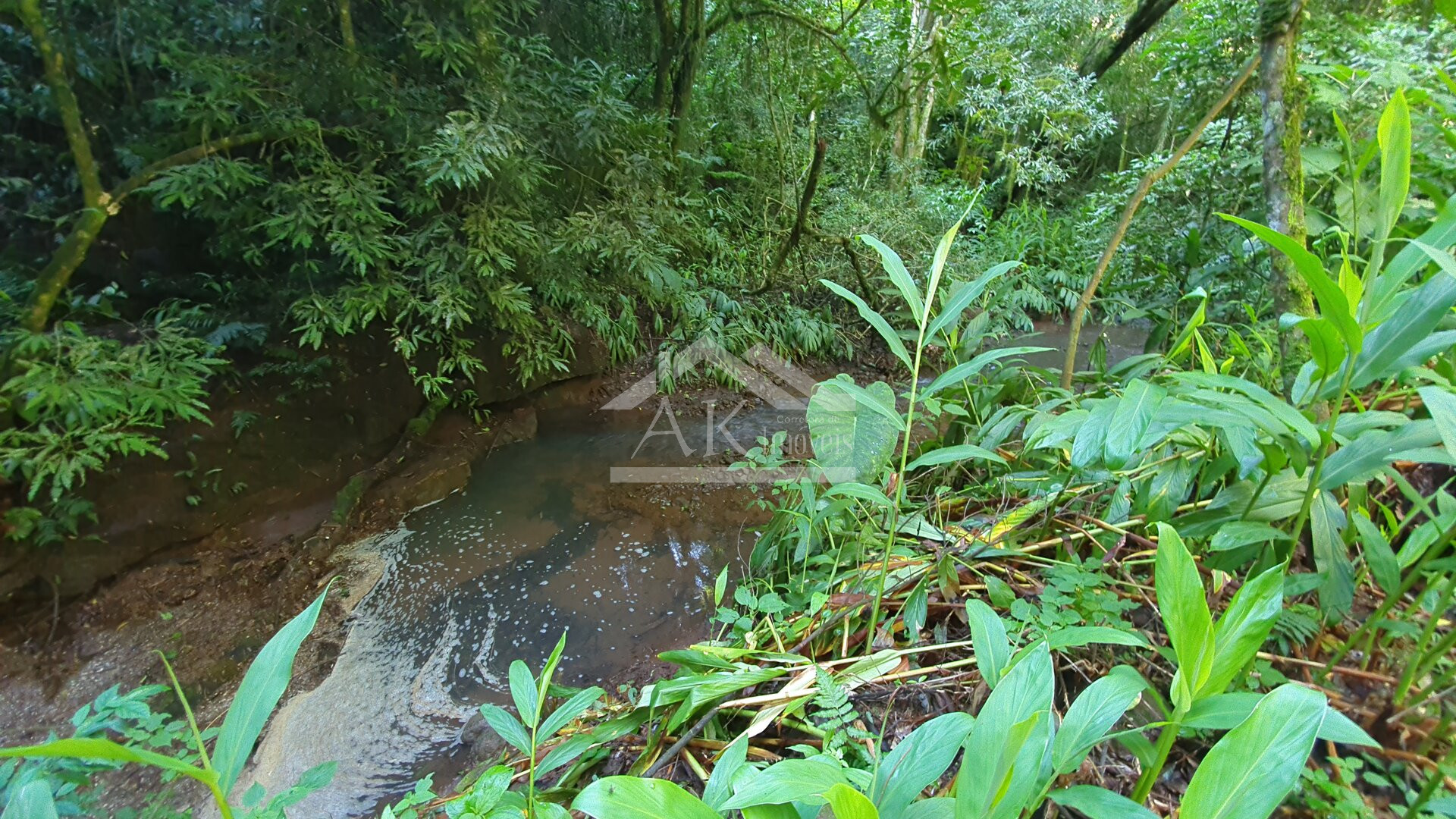 Sítio com cascata a venda no interior de Nova Petrópolis, na Serra Gaúcha