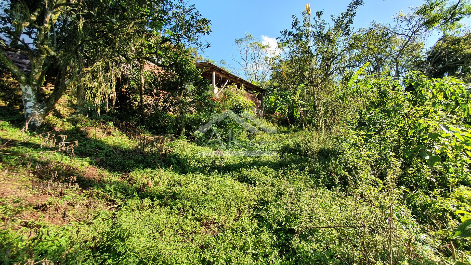 Sítio com cascata a venda no interior de Nova Petrópolis, na Serra Gaúcha