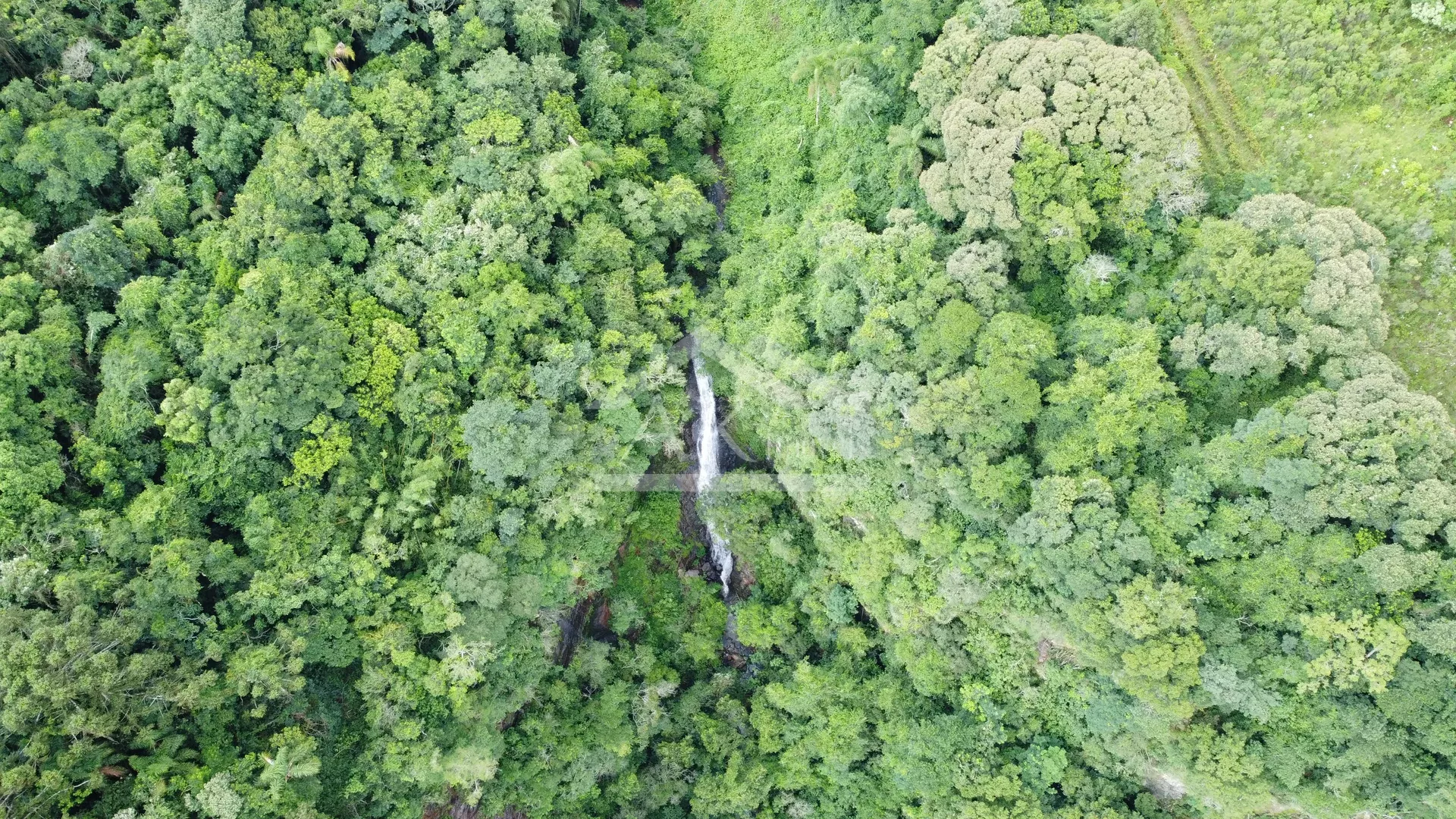 Sítio com cascata a venda no interior de Nova Petrópolis, na Serra Gaúcha