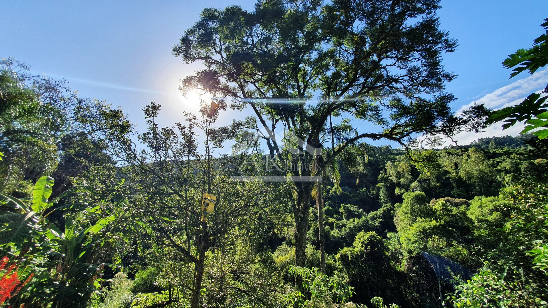 Sítio com cascata a venda no interior de Nova Petrópolis, na Serra Gaúcha