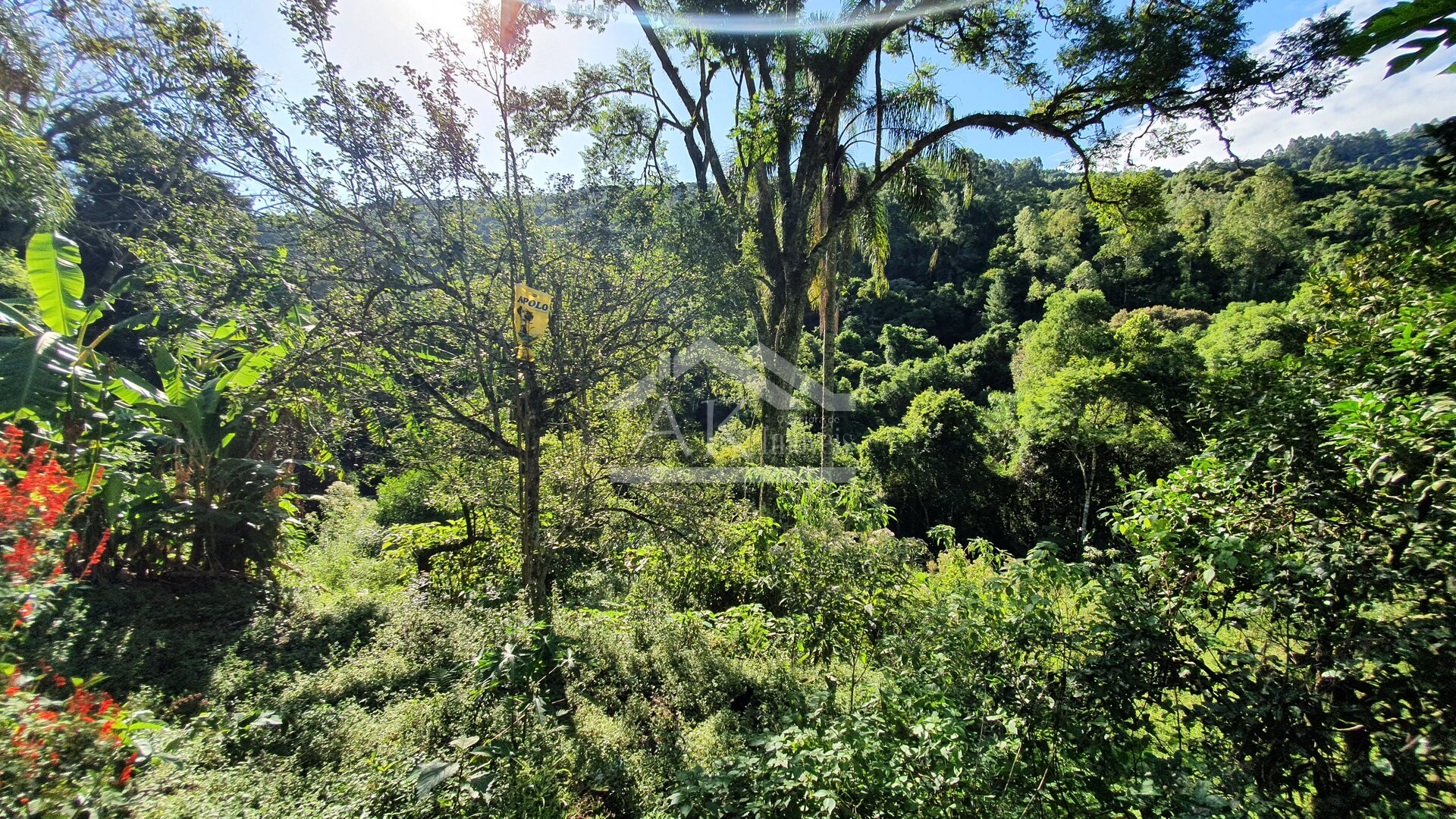 Sítio com cascata a venda no interior de Nova Petrópolis, na Serra Gaúcha