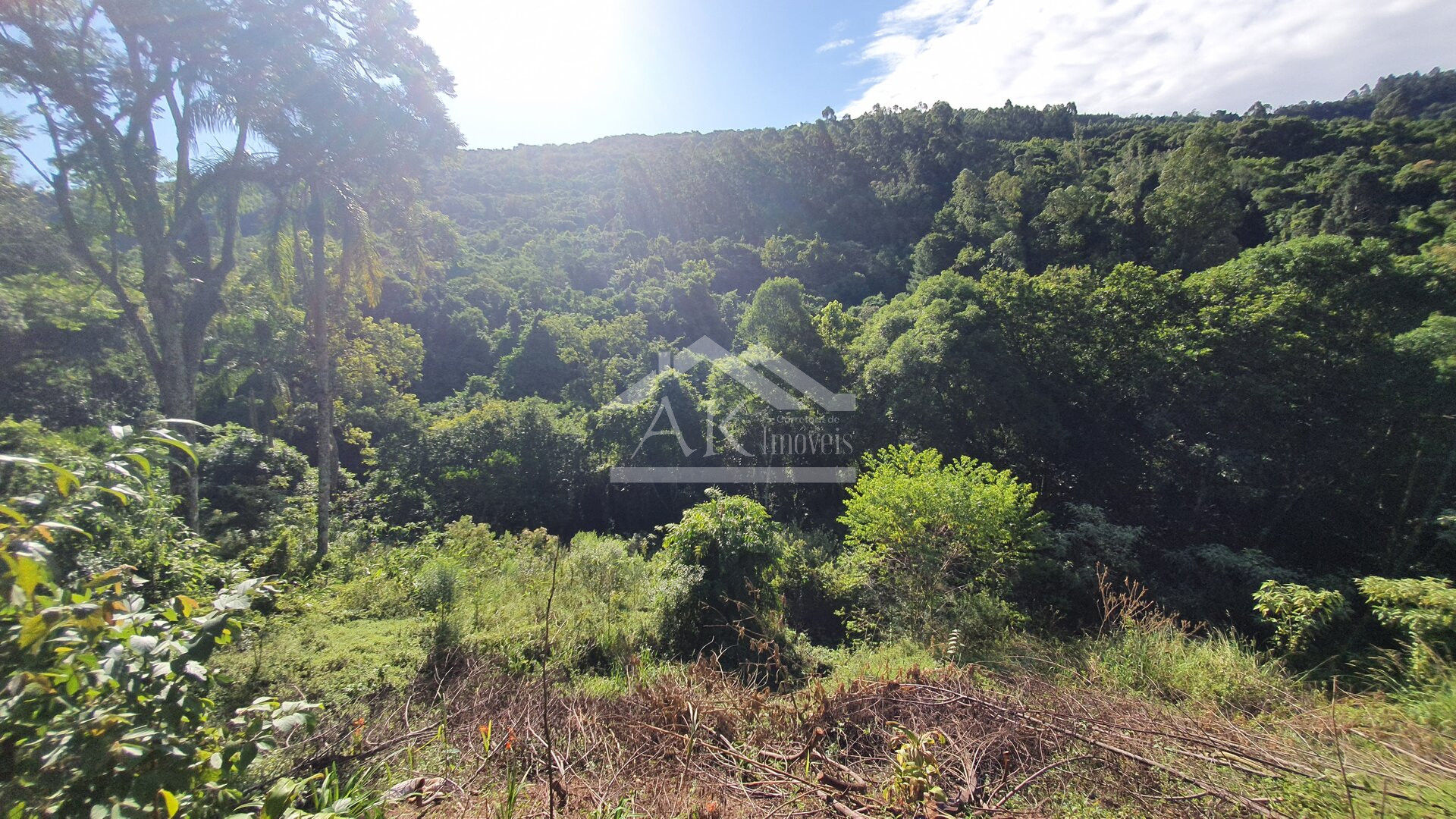 Sítio com cascata a venda no interior de Nova Petrópolis, na Serra Gaúcha
