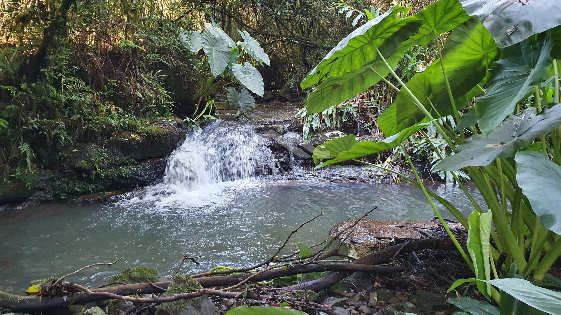 Sítio com cascata a venda no interior de Nova Petrópolis, na Serra Gaúcha