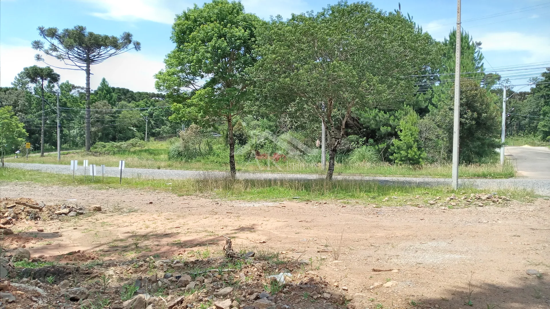Terreno a venda em Nova Petrópolis, na Serra Gaúcha