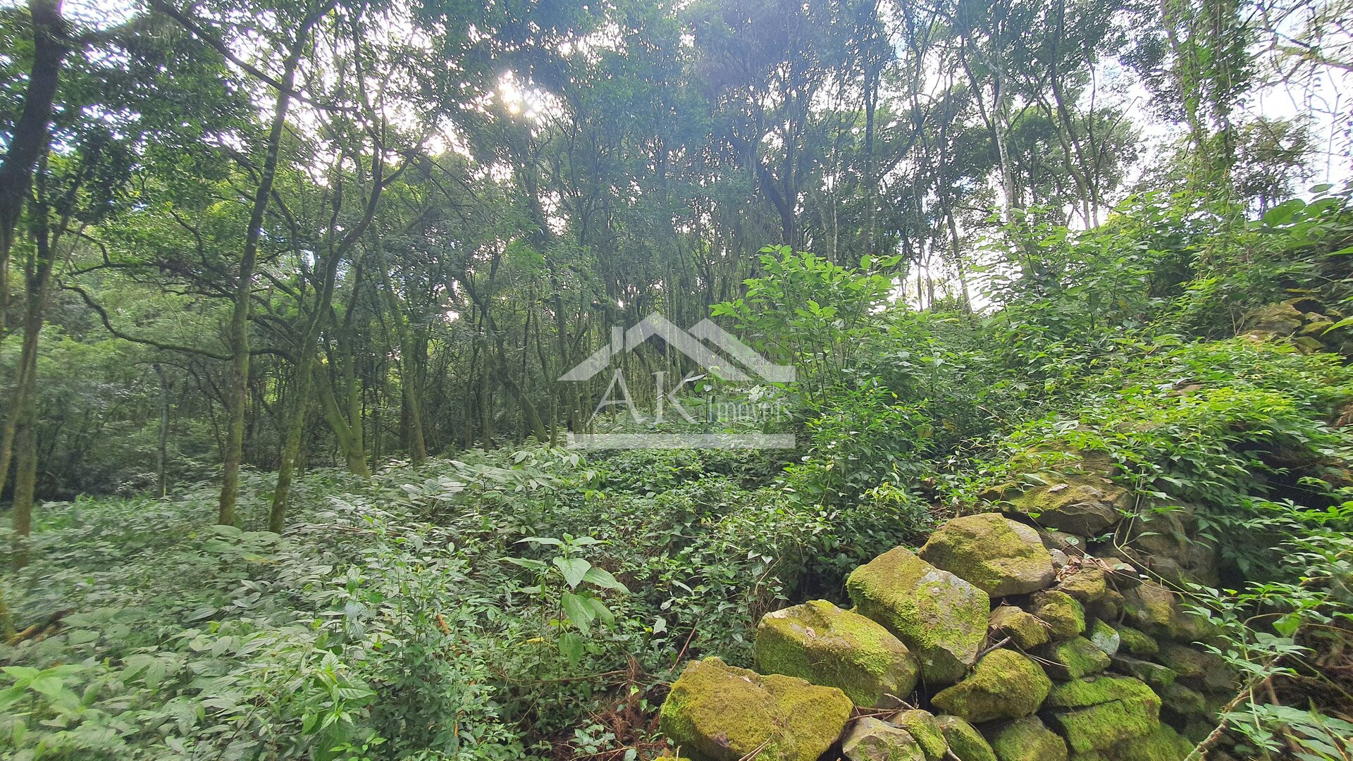Sítio com casa de 4 quartos a venda em Nova Petrópolis na Serra Gaúcha