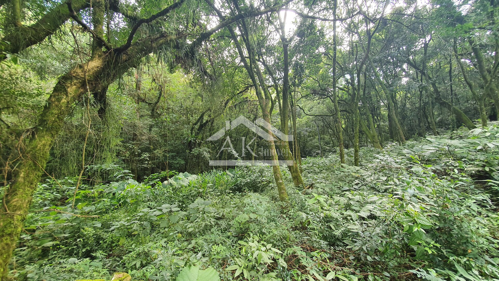 Sítio com casa de 4 quartos a venda em Nova Petrópolis na Serra Gaúcha